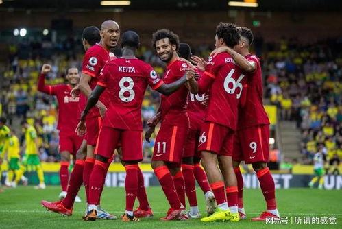 23-24赛季足总杯-富勒姆vs罗瑟汉姆 上半场,富勒姆与罗瑟汉姆足总杯上半场精彩对决